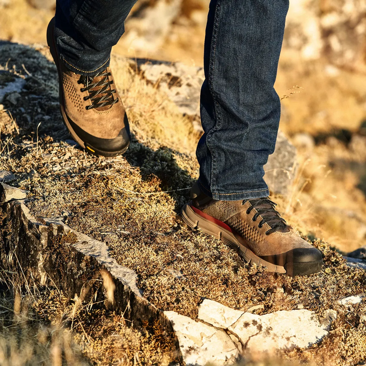 Danner Men's Trail 2650 GTX Mid 4" In Dusty Olive