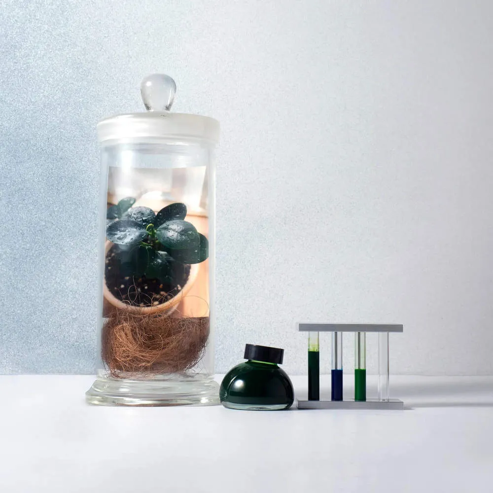 Kakimori Ink Bottle (35 ml) - Colour Specimen