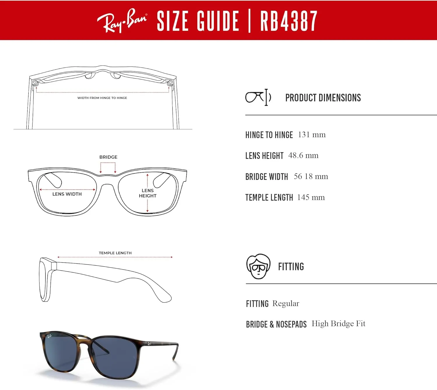Ray-Ban RB4387 Square Sunglasses for Men for Women   BUNDLE With Designer iWear Complimentary Eyewear Kit