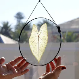 VELT Botanical Frame - Caladium